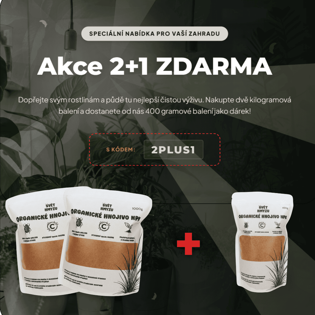 2+1 Sleva